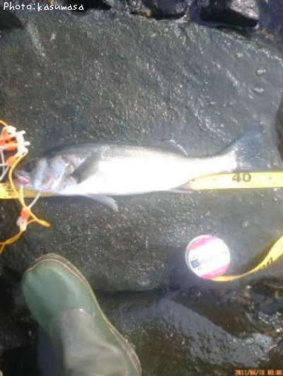 �����Х�