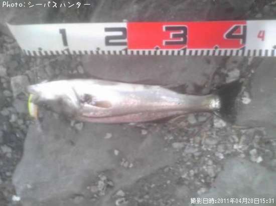 �����Х�