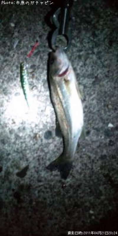 �����Х�