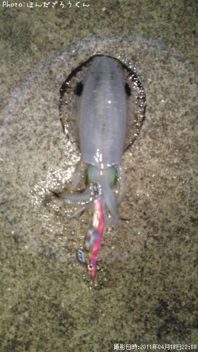 �����ꥤ��