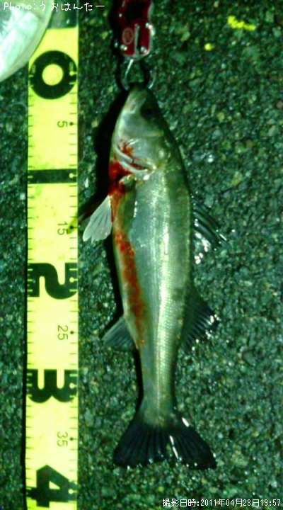 �����Х�