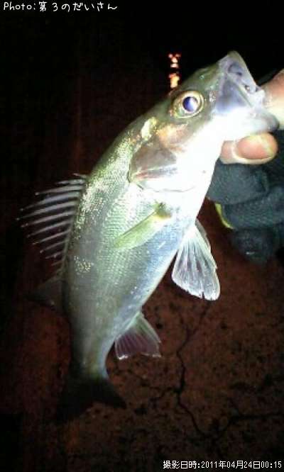 �����Х�