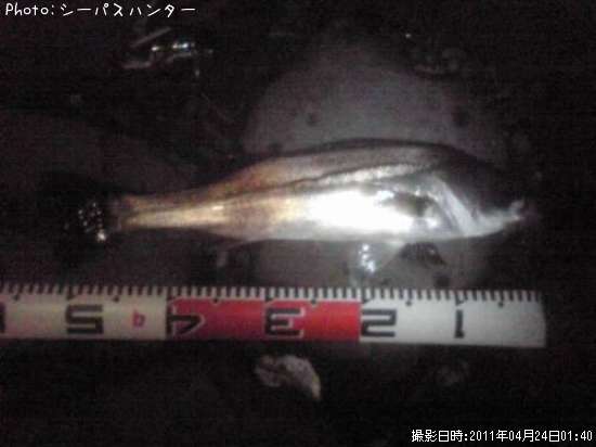 �����Х�