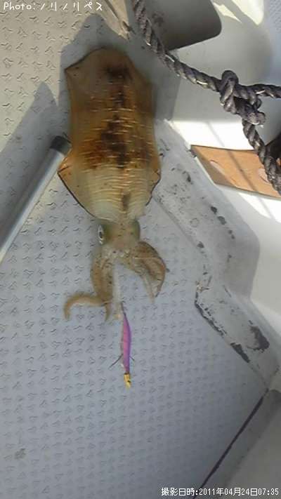 �����ꥤ��