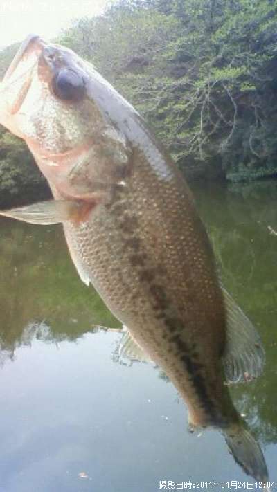 �֥�å��Х�