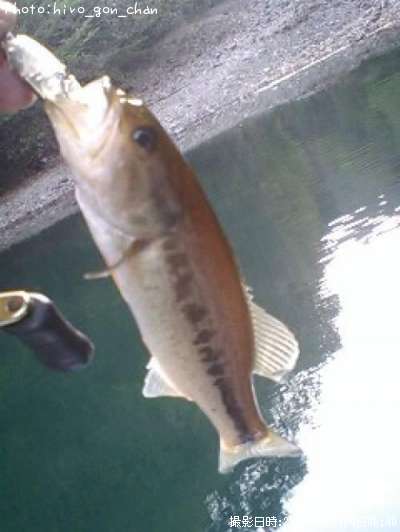 �֥�å��Х�