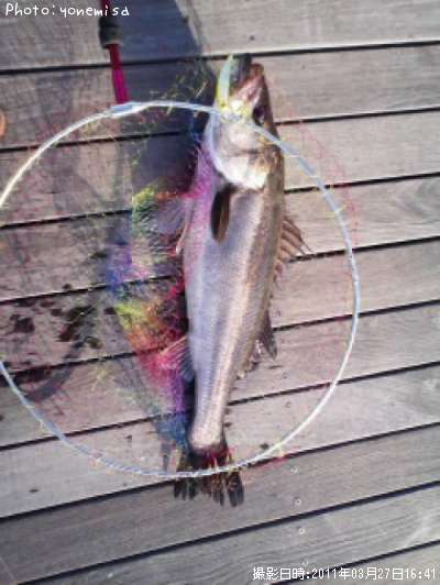 �����Х�