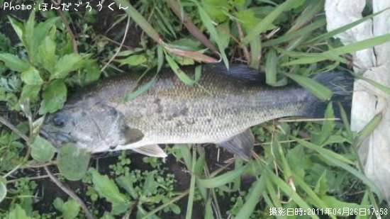 �֥�å��Х�