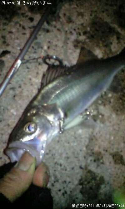 �����Х�