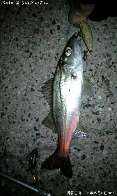 �����Х�