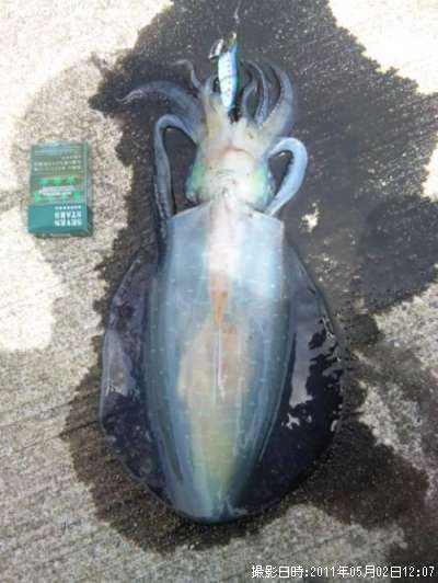 �����ꥤ��