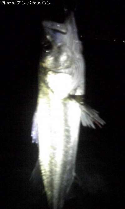 �����Х�