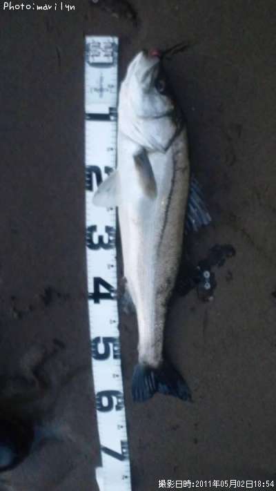 �����Х�