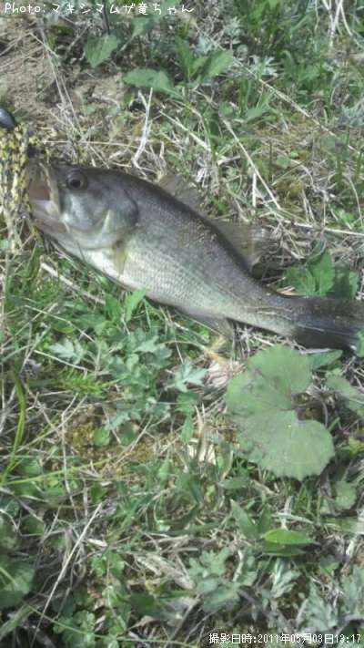 �֥�å��Х�