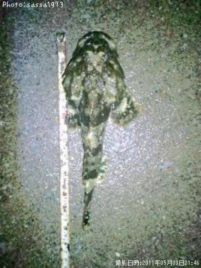 �ȥ�������