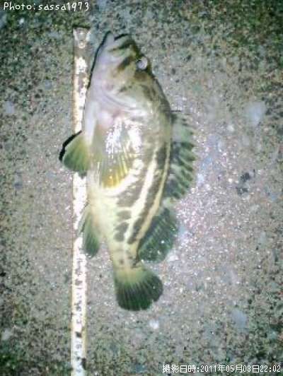 ���ޥ���