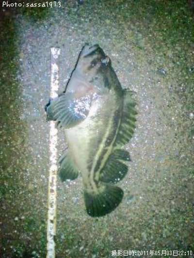 ���ޥ���