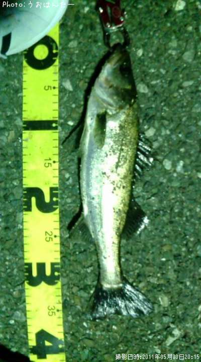 �����Х�