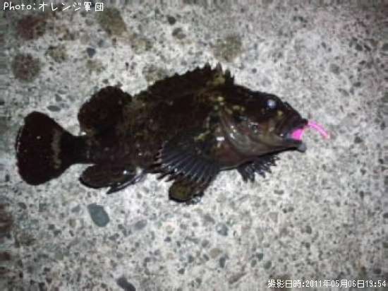 ��饽��