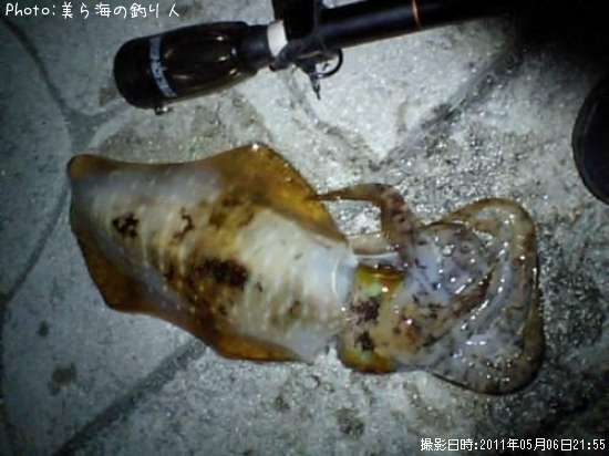 �����ꥤ��