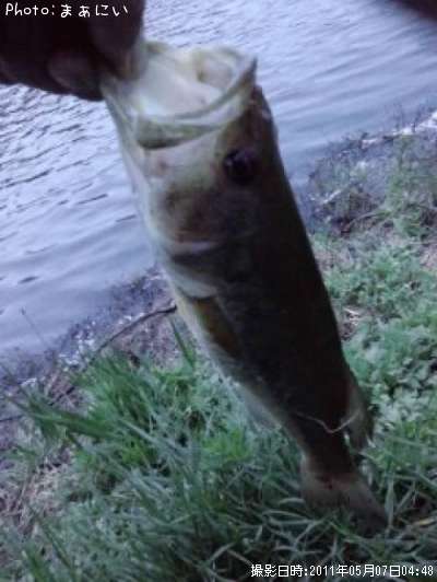 �֥�å��Х�