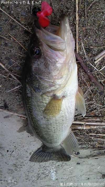 �֥�å��Х�