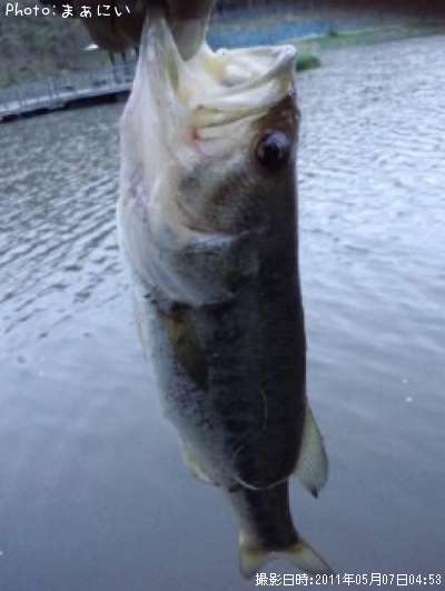 �֥�å��Х�