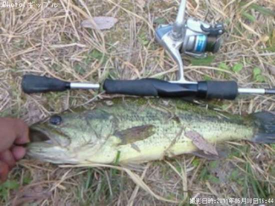 �֥�å��Х�