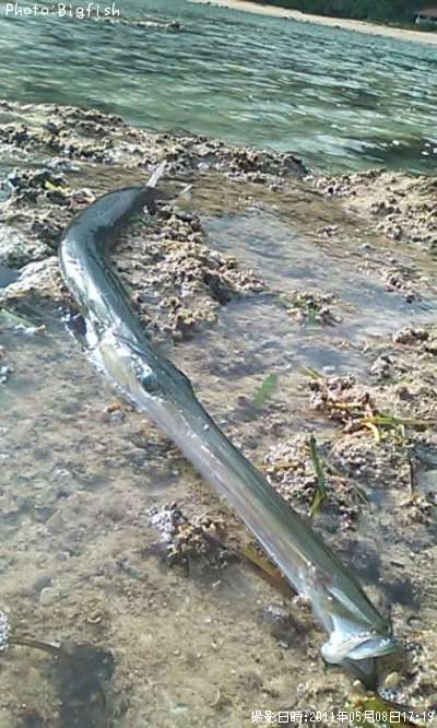 �����䥬��