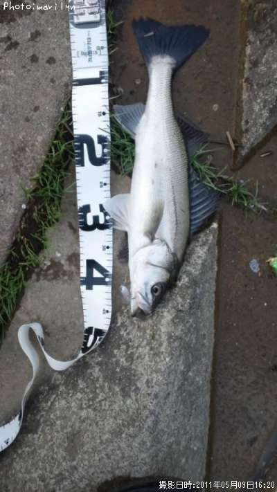 �����Х�