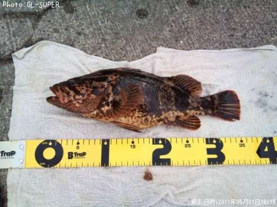 �����Υ���Х�