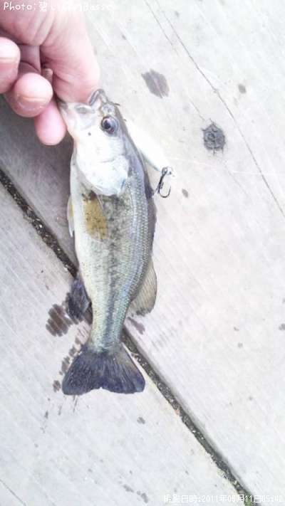 �֥�å��Х�