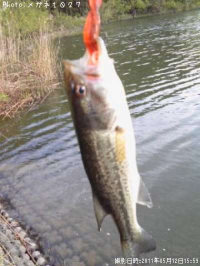 �֥�å��Х�