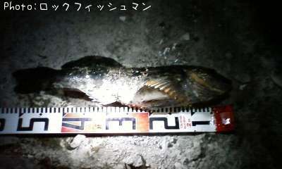 �����ʥ�