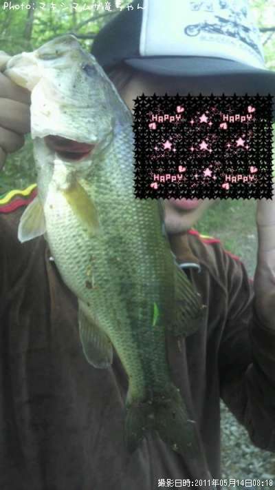 �֥�å��Х�