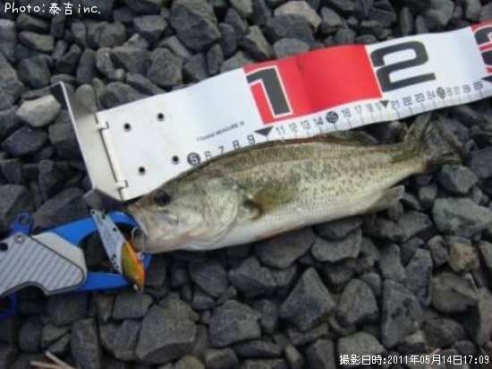 �֥�å��Х�