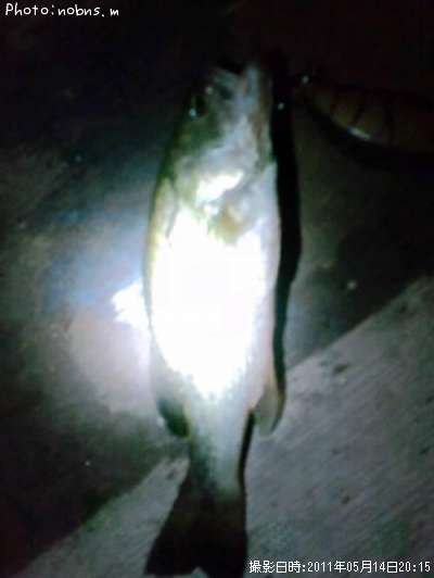 �֥�å��Х�