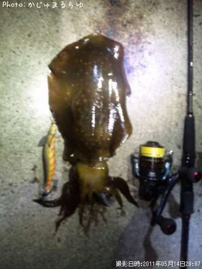 �����ꥤ��