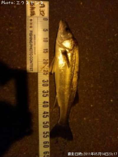 �����Х�