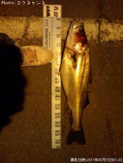 �����Х�