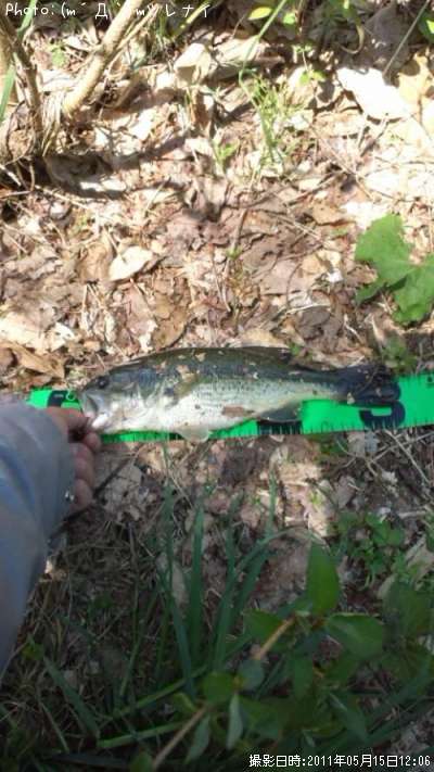 �֥�å��Х�