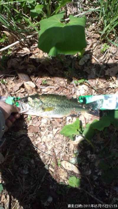 �֥�å��Х�