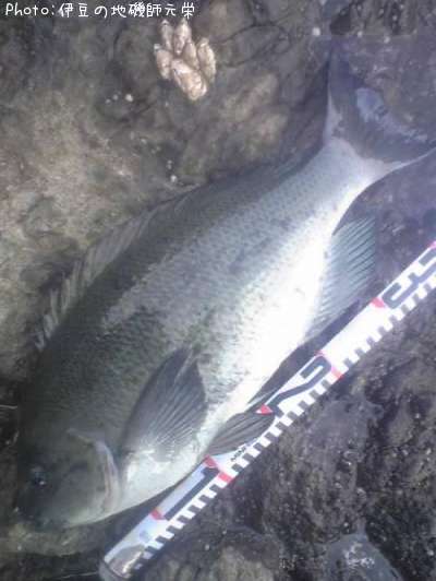 �����᥸��