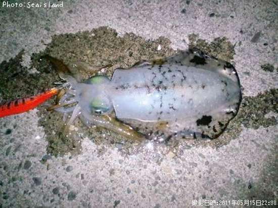 �����ꥤ��