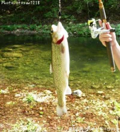 �쥤��ܡ��ȥ饦��