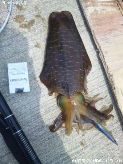 �����ꥤ��