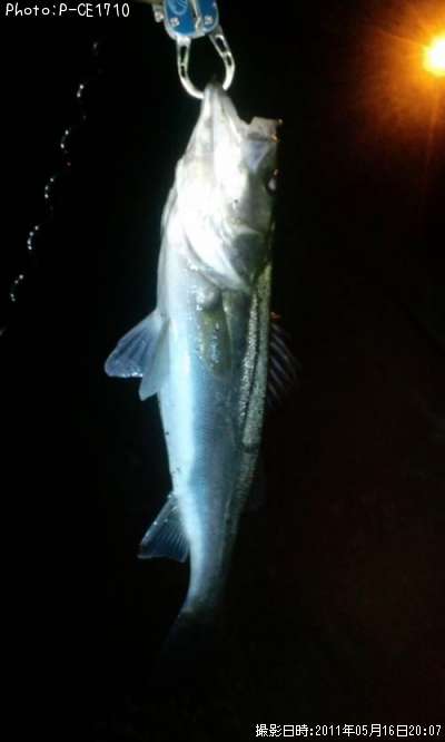 �����Х�