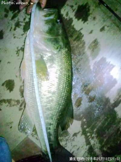 �֥�å��Х�