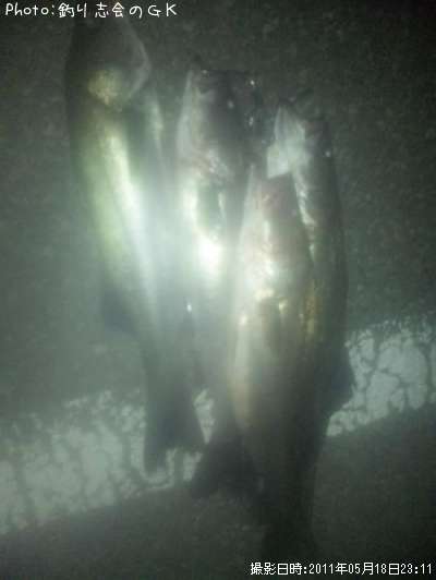 �����Х�