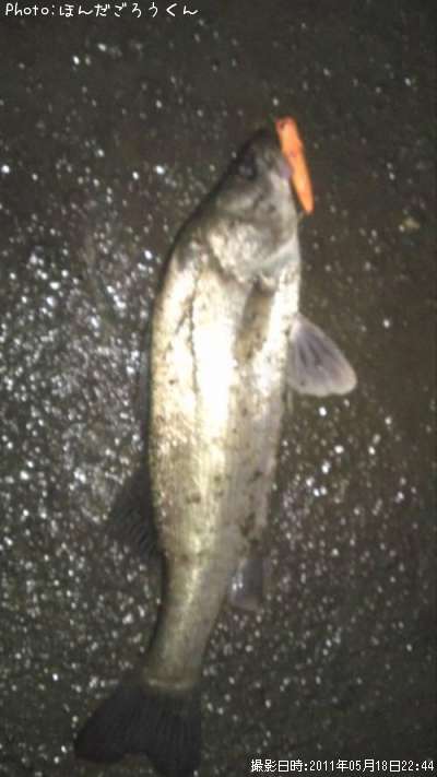 �����Х�